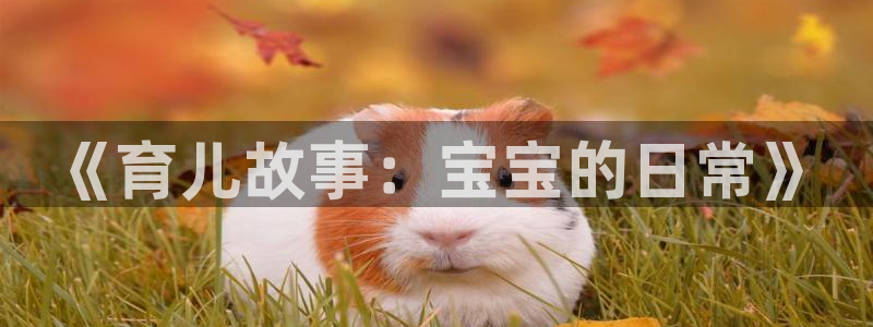 虫虫漫画页面免费漫画在线阅读：《育儿故事：宝宝的日常》