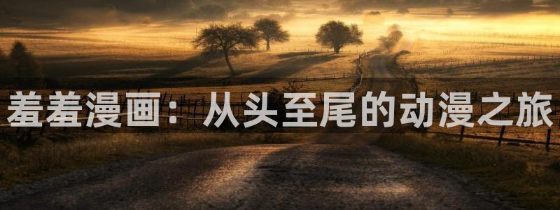 韩国漫画虫虫漫画免费阅读：羞羞漫画：从头至尾的动漫之旅